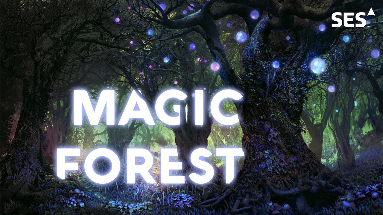 WE INVITE YOU TO THE WELCOME PARTY DEC – SES MAGIC FOREST